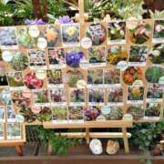 ヒメ日記 2025/05/18 21:58 投稿 松宮桜子 五十路マダム 新潟店(カサブランカグループ)