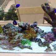 ヒメ日記 2025/06/04 12:02 投稿 松宮桜子 五十路マダム 新潟店(カサブランカグループ)