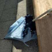 ヒメ日記 2025/06/09 10:56 投稿 松宮桜子 五十路マダム 新潟店(カサブランカグループ)