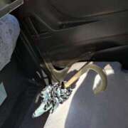 ヒメ日記 2025/10/30 13:38 投稿 松宮桜子 五十路マダム 新潟店(カサブランカグループ)