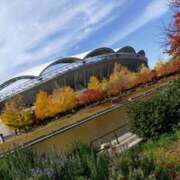 ヒメ日記 2025/11/14 06:20 投稿 松宮桜子 五十路マダム 新潟店(カサブランカグループ)