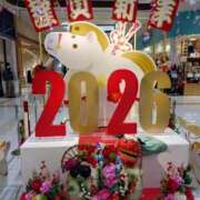 ヒメ日記 2026/01/01 11:48 投稿 松宮桜子 五十路マダム 新潟店(カサブランカグループ)