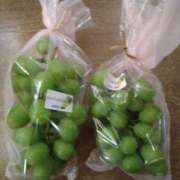 ヒメ日記 2026/03/31 08:52 投稿 松宮桜子 五十路マダム 新潟店(カサブランカグループ)