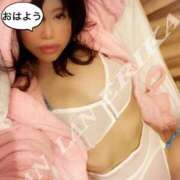 ヒメ日記 2024/12/17 07:41 投稿 エリカ 渋谷蘭の会