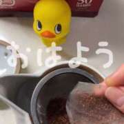 ヒメ日記 2024/12/27 07:44 投稿 エリカ 渋谷蘭の会