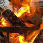 ヒメ日記 2025/01/01 09:21 投稿 エリカ 渋谷蘭の会