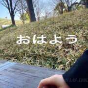 ヒメ日記 2025/02/16 08:41 投稿 エリカ 渋谷蘭の会