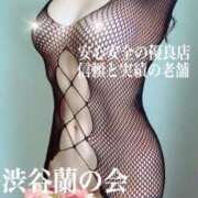 ヒメ日記 2025/02/22 11:41 投稿 エリカ 渋谷蘭の会