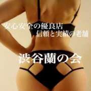 ヒメ日記 2025/04/01 10:41 投稿 エリカ 渋谷蘭の会