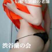 ヒメ日記 2025/04/08 10:41 投稿 エリカ 渋谷蘭の会