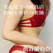 ヒメ日記 2025/04/16 10:41 投稿 エリカ 渋谷蘭の会