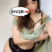 ヒメ日記 2025/07/31 07:41 投稿 エリカ 渋谷蘭の会