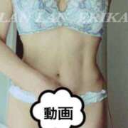 ヒメ日記 2025/08/17 00:55 投稿 エリカ 渋谷蘭の会