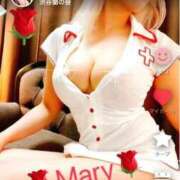 ヒメ日記 2025/11/12 14:15 投稿 エリカ 渋谷蘭の会