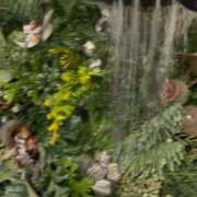 エリカ 夜中に 渋谷蘭の会