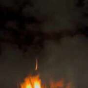 ヒメ日記 2026/01/01 08:55 投稿 エリカ 渋谷蘭の会