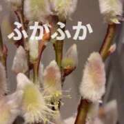ヒメ日記 2026/01/30 07:45 投稿 エリカ 渋谷蘭の会
