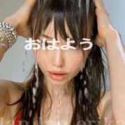 ヒメ日記 2026/02/12 07:35 投稿 エリカ 渋谷蘭の会