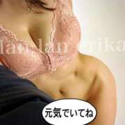 ヒメ日記 2026/03/23 07:35 投稿 エリカ 渋谷蘭の会