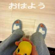 ヒメ日記 2026/05/06 08:15 投稿 エリカ 渋谷蘭の会