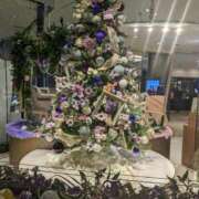 ヒメ日記 2024/12/14 21:55 投稿 じゅりな 上野デリヘル倶楽部