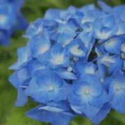 ヒメ日記 2025/06/06 19:37 投稿 じゅりな 上野デリヘル倶楽部