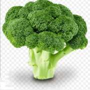 ヒメ日記 2025/08/31 17:22 投稿 じゅりな 上野デリヘル倶楽部