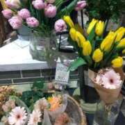 ヒメ日記 2026/01/14 20:28 投稿 じゅりな 上野デリヘル倶楽部