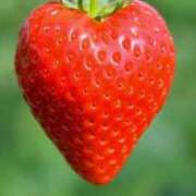 ヒメ日記 2026/01/31 15:14 投稿 じゅりな 上野デリヘル倶楽部