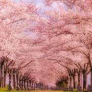 ヒメ日記 2026/03/21 06:39 投稿 じゅりな 上野デリヘル倶楽部