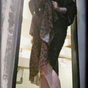 ヒメ日記 2024/12/13 13:42 投稿 石田美希 五十路マダム 松山店（カサブランカグループ）