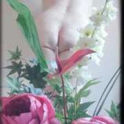 ヒメ日記 2024/12/20 00:40 投稿 石田美希 五十路マダム 松山店（カサブランカグループ）