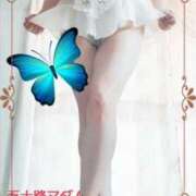 ヒメ日記 2024/12/31 15:20 投稿 石田美希 五十路マダム 松山店（カサブランカグループ）