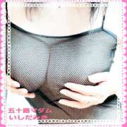 ヒメ日記 2025/01/28 21:00 投稿 石田美希 五十路マダム 松山店（カサブランカグループ）