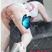 ヒメ日記 2025/02/03 19:46 投稿 石田美希 五十路マダム 松山店（カサブランカグループ）