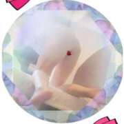 ヒメ日記 2025/02/10 23:44 投稿 石田美希 五十路マダム 松山店（カサブランカグループ）