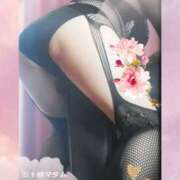 ヒメ日記 2025/02/15 15:32 投稿 石田美希 五十路マダム 松山店（カサブランカグループ）