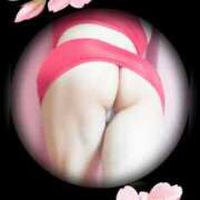 ヒメ日記 2025/03/30 12:32 投稿 石田美希 五十路マダム 松山店（カサブランカグループ）