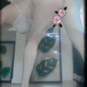 ヒメ日記 2025/04/03 14:42 投稿 石田美希 五十路マダム 松山店（カサブランカグループ）