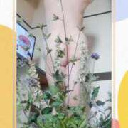 ヒメ日記 2025/04/11 12:52 投稿 石田美希 五十路マダム 松山店（カサブランカグループ）