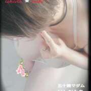 ヒメ日記 2025/04/14 18:06 投稿 石田美希 五十路マダム 松山店（カサブランカグループ）