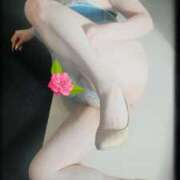 ヒメ日記 2025/04/27 17:10 投稿 石田美希 五十路マダム 松山店（カサブランカグループ）