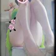 ヒメ日記 2025/04/29 13:28 投稿 石田美希 五十路マダム 松山店（カサブランカグループ）