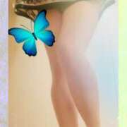 ヒメ日記 2025/05/03 22:14 投稿 石田美希 五十路マダム 松山店（カサブランカグループ）