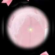 ヒメ日記 2025/05/09 00:00 投稿 石田美希 五十路マダム 松山店（カサブランカグループ）