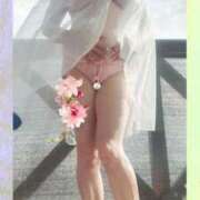 ヒメ日記 2025/06/06 01:06 投稿 石田美希 五十路マダム 松山店（カサブランカグループ）