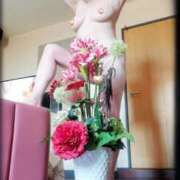 ヒメ日記 2025/06/14 22:40 投稿 石田美希 五十路マダム 松山店（カサブランカグループ）