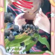 ヒメ日記 2025/06/29 15:22 投稿 石田美希 五十路マダム 松山店（カサブランカグループ）