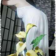 ヒメ日記 2025/07/04 17:56 投稿 石田美希 五十路マダム 松山店（カサブランカグループ）