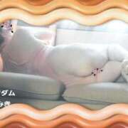 ヒメ日記 2025/07/10 17:32 投稿 石田美希 五十路マダム 松山店（カサブランカグループ）